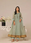 Shehzadi-Pistachio Versatility - Ayesha's Closet