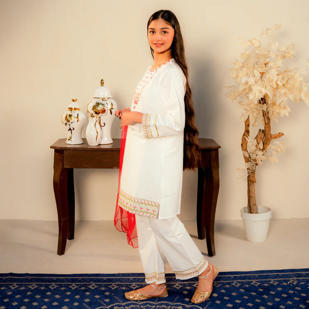Embroidered Cotton Suit – Afsana - Rangooz