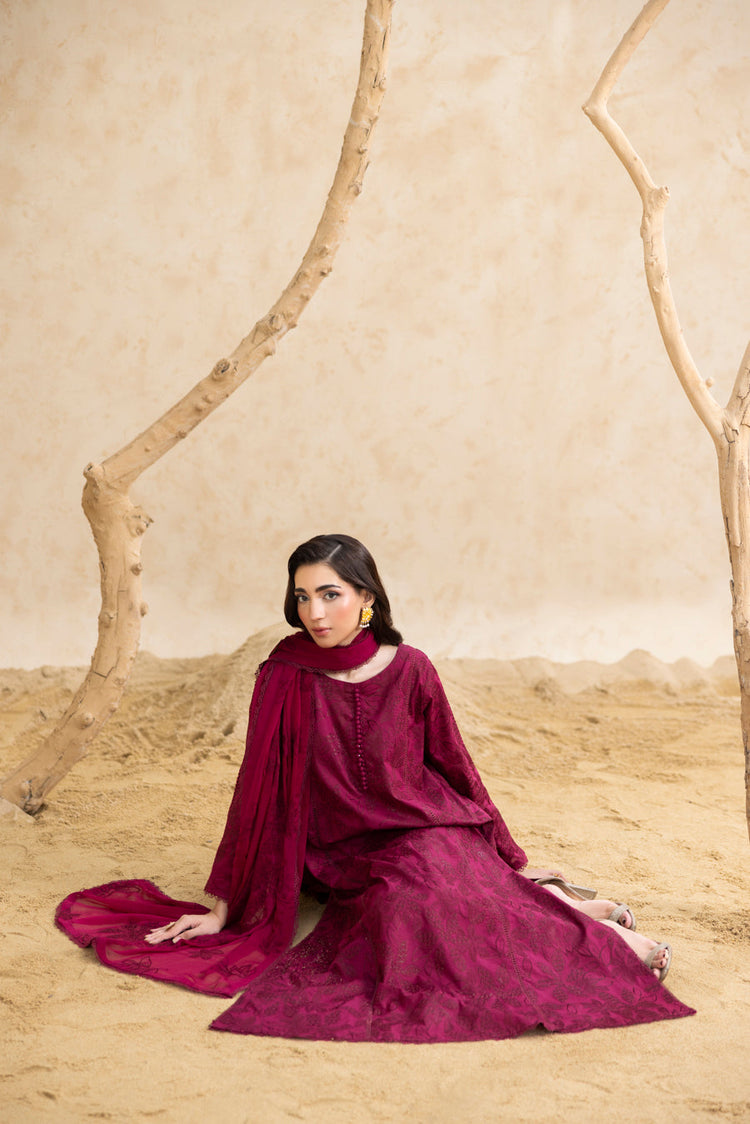 Burgundy 3-Pc's Embroidered Ready to Wear - Threads & Weaves