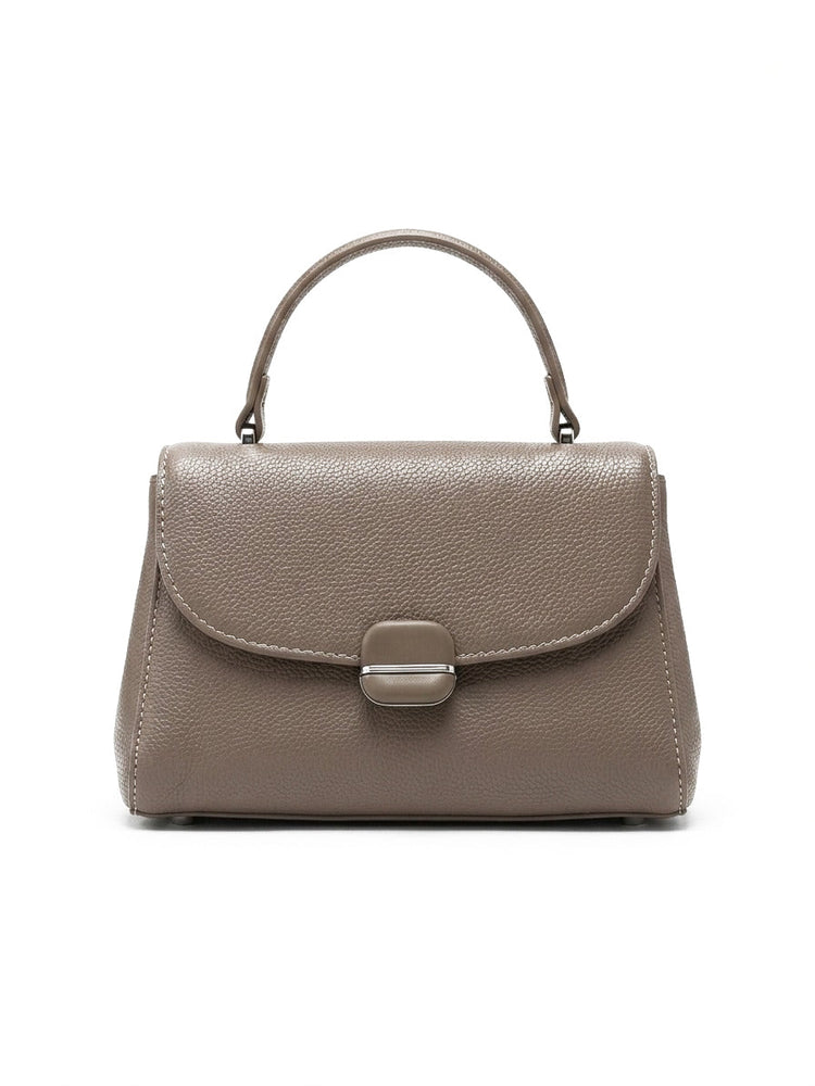 Celine Fawn Handbag - Bag X