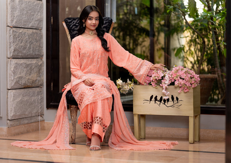 Sejal BN-1082 - 3 Piece Stitched Fancy Heavy Embroidered - Bint-e-Noor