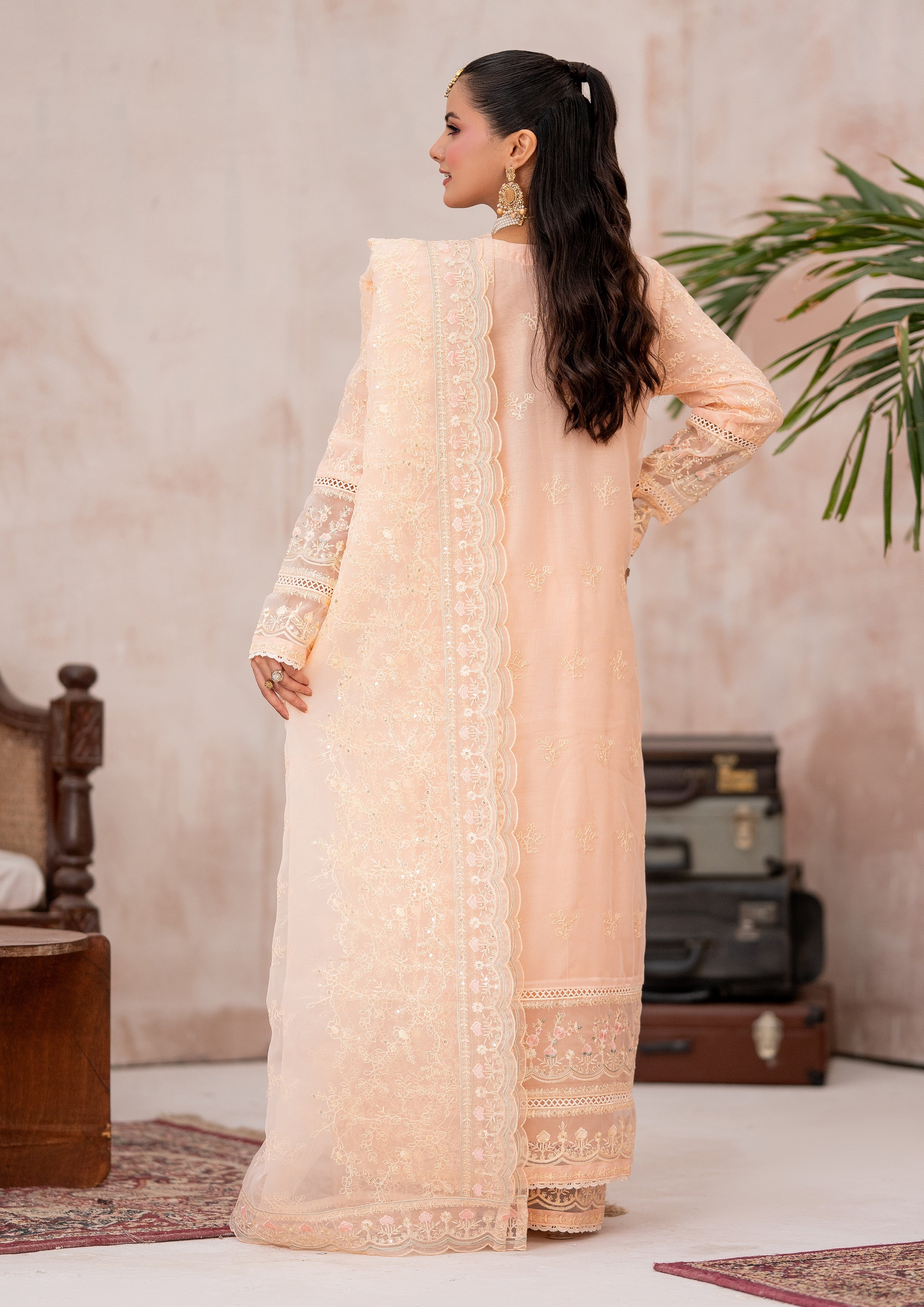 Mayal BN-1112 - 3 Piece Stitched Fancy Heavy Embroidered - Bint-e-Noor