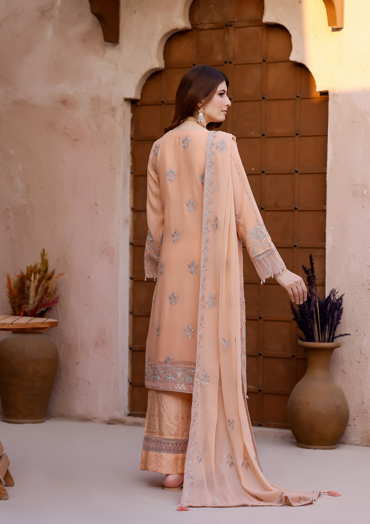 Kaira BN-9989 - 3 Piece Stitched Fancy Heavy Embroidered - Bint-e-Noor