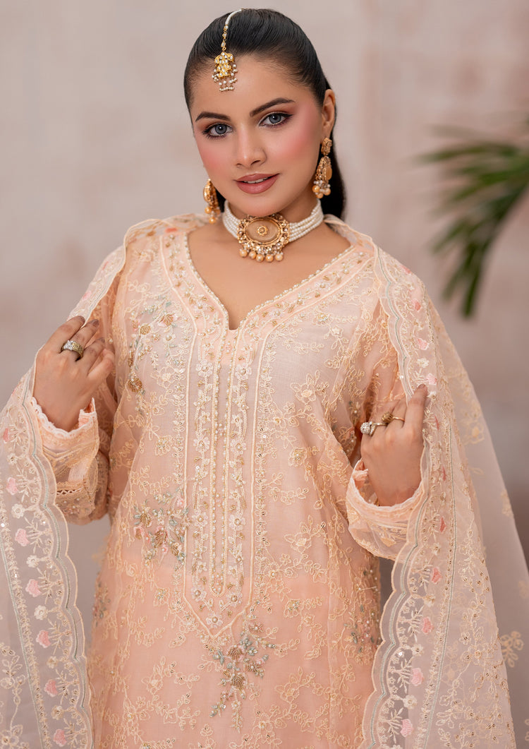 Mayal BN-1112 - 3 Piece Stitched Fancy Heavy Embroidered - Bint-e-Noor