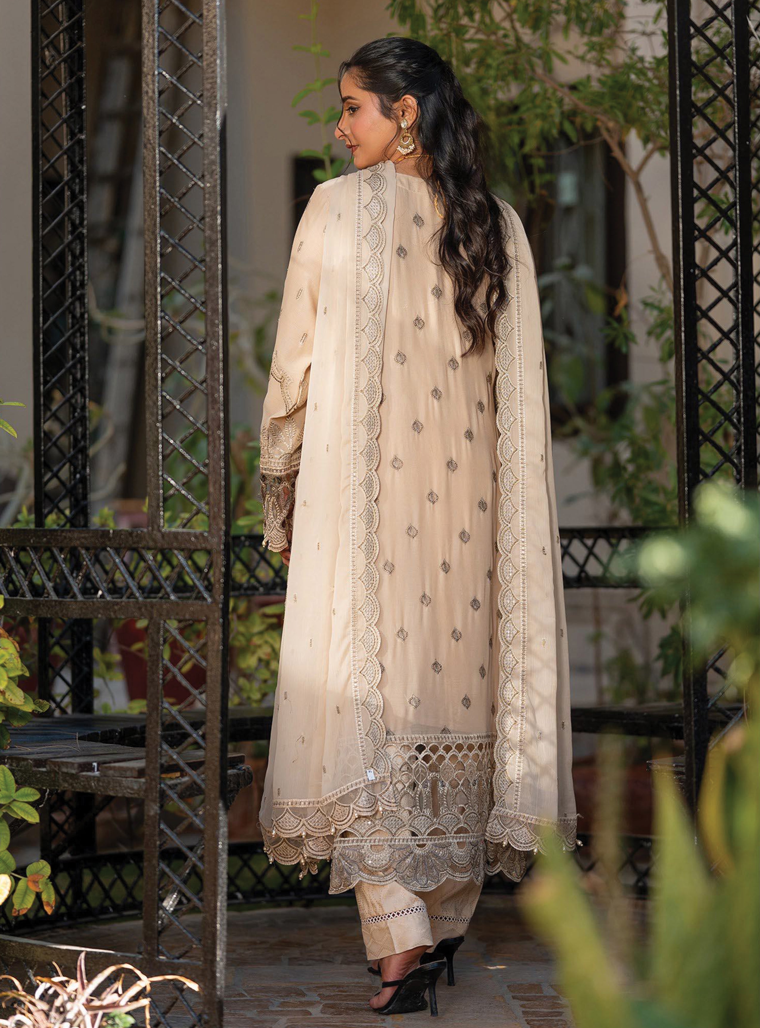 Asmira BN-1040 - 3 Piece Stitched Fancy Heavy Embroidered - Bint-e-Noor