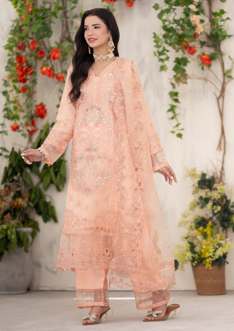 Kinza BN-1094 - 3 Piece Stitched Fancy Heavy Embroidered - Bint-e-Noor