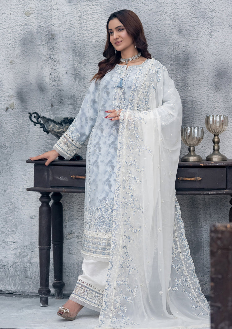 Cinderella BN-1005 - 3 Piece Stitched Fancy Heavy Embroidered - Bint-e-Noor