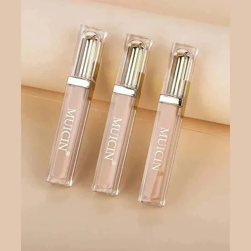 Luminous Silk Hd High Coverage Liquid Concealer - Muicin