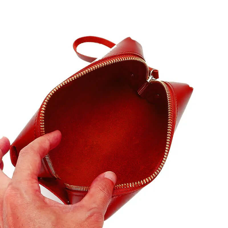 Cosmo Maroon Handbag - Bag X