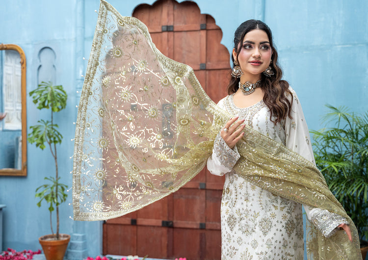 La-Amalia BN-1064 - 3 Piece Semi-Stitched Fancy Heavy Embroidered - Bint-e-Noor