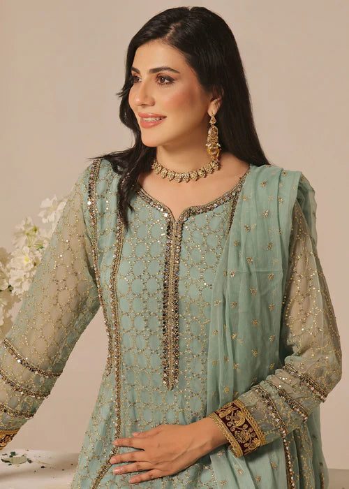 Shehzadi-Pistachio Versatility - Ayesha's Closet