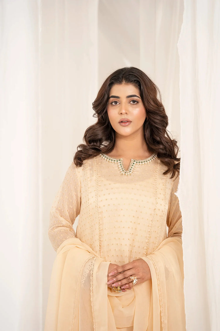 Noya 3 Piece Stitched - Javeria Zoa