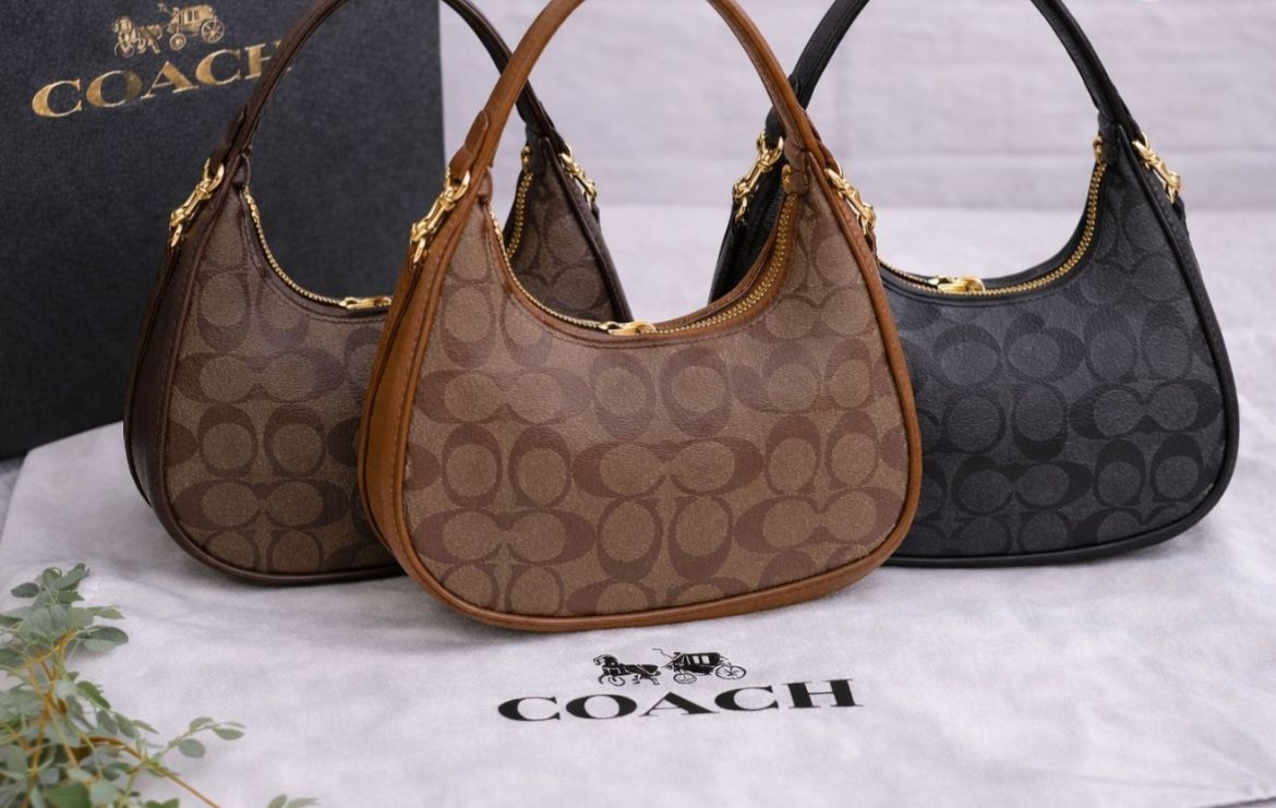 Coach moon style Handbags - Bellabags