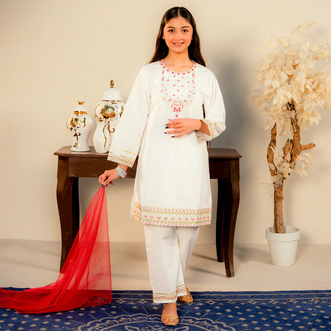 Embroidered Cotton Suit – Afsana - Rangooz