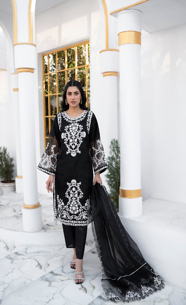 Shab-e-Noor - Stitched 3 Pcs - Kala Jora