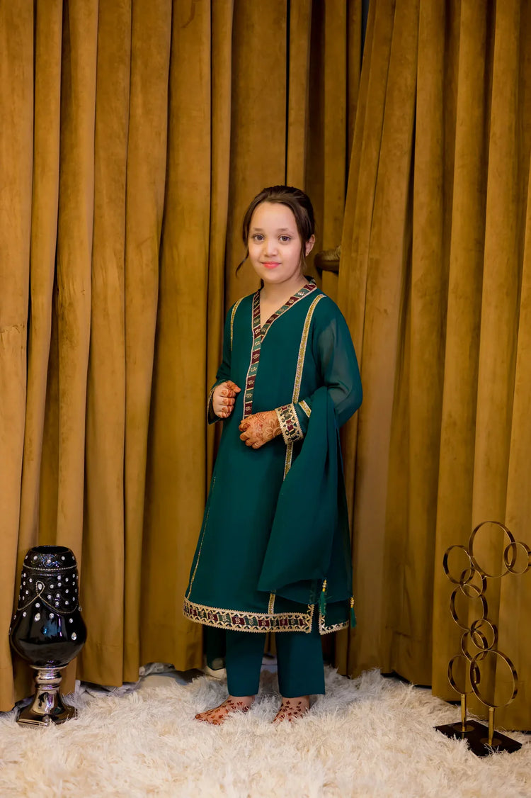 Bottle Green Georgette Suit - Shadeforteen