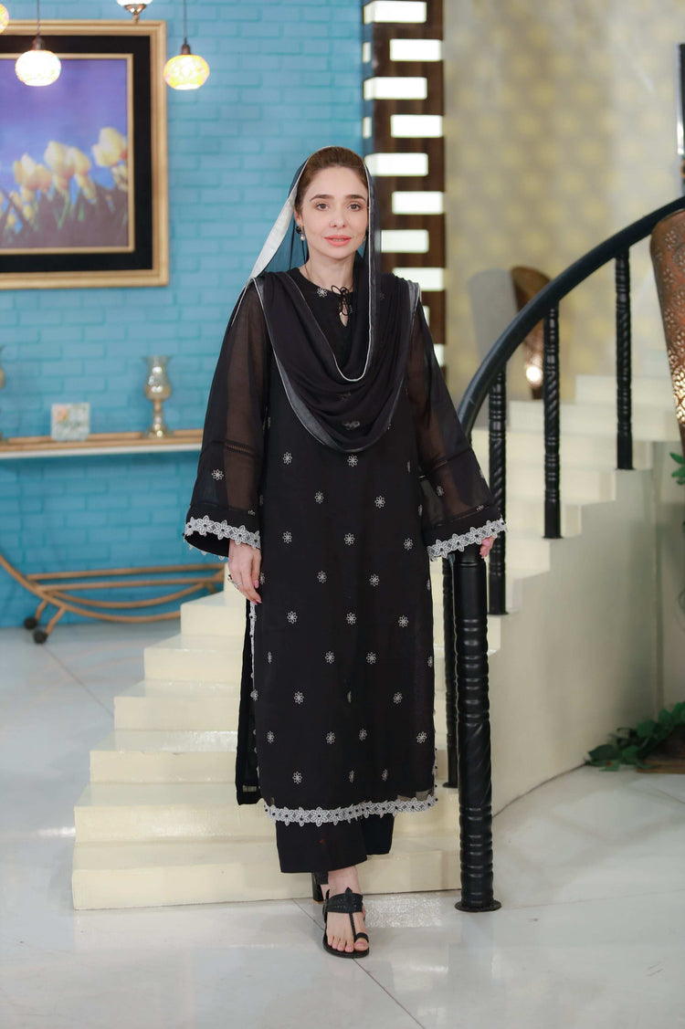 2 Piece Chikankaari Embroidered Suit  ( linned)