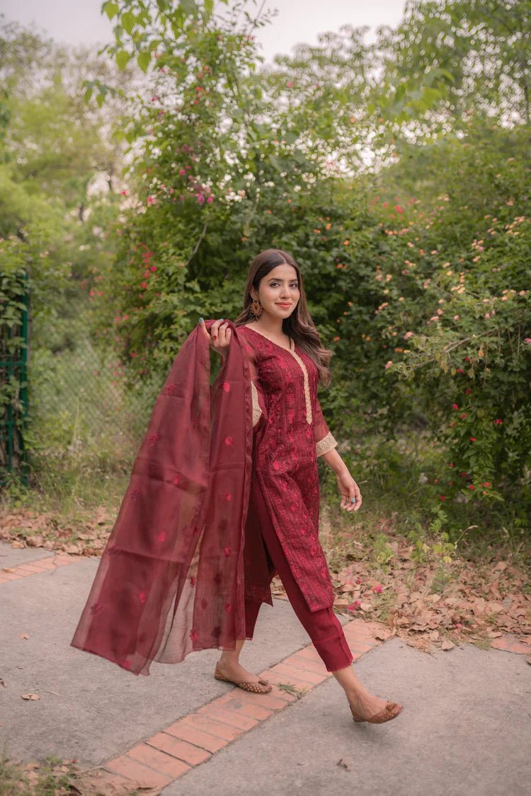 Maroon Cotton Net Embroidered – Eleganza