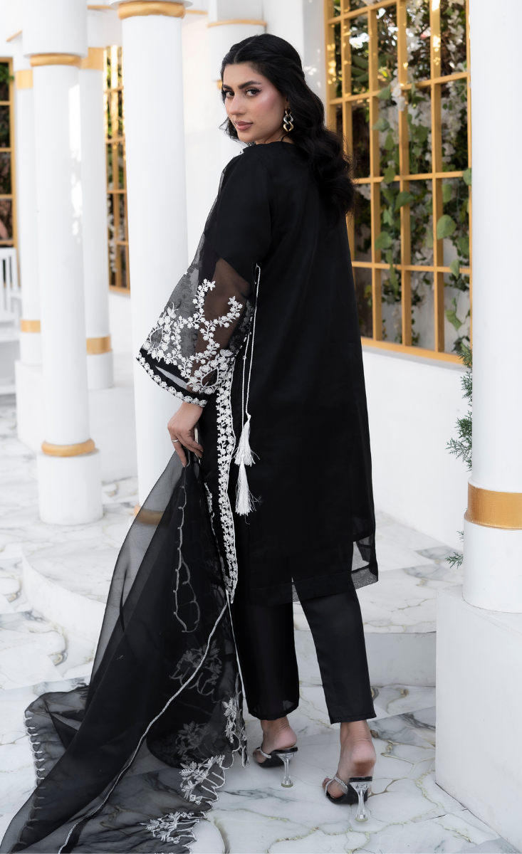 Shab-e-Noor - Stitched 3 Pcs - Kala Jora