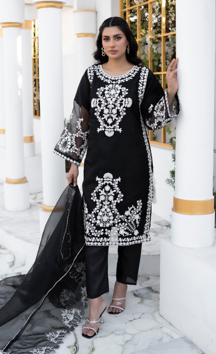 Shab-e-Noor - Stitched 3 Pcs - Kala Jora