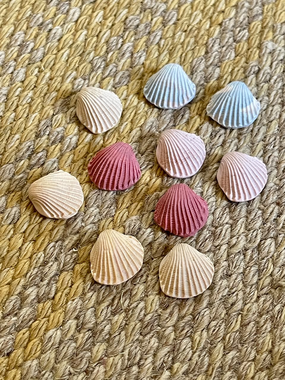 Clam Studs - Clay Boutique