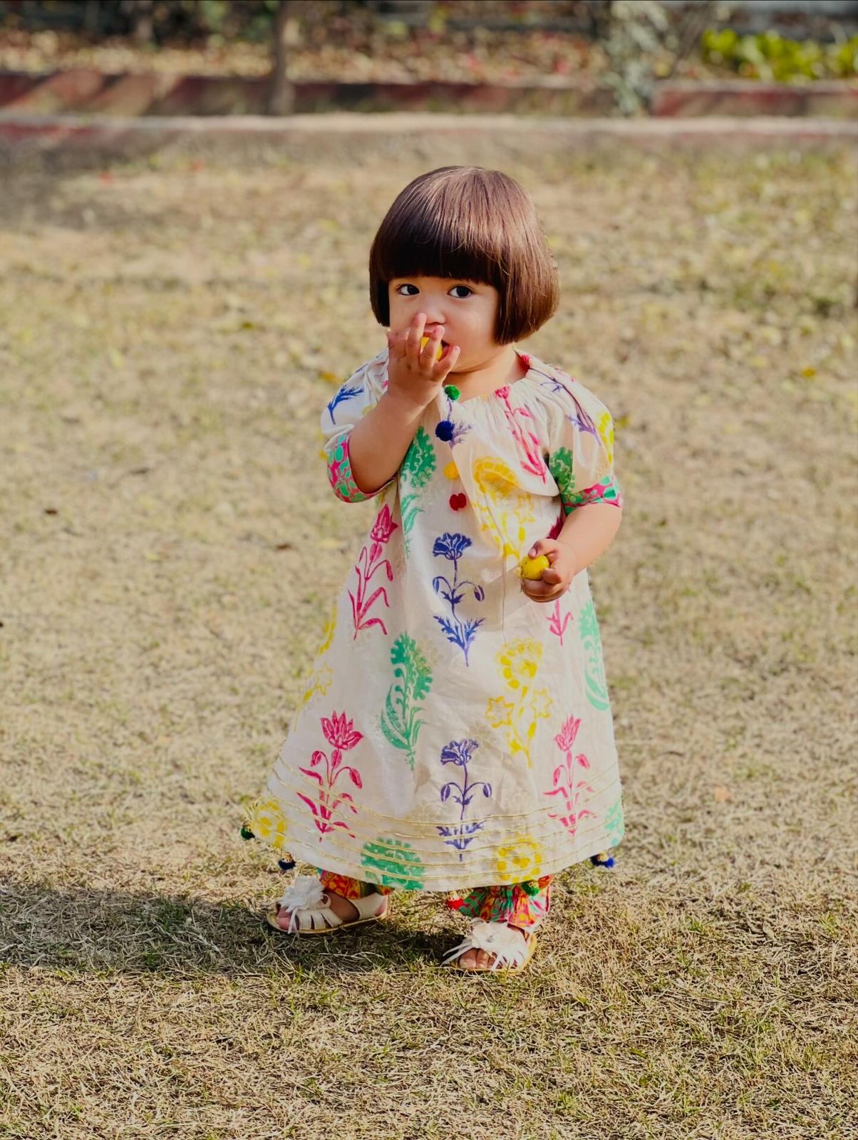 Cotton Jacquard Suit
