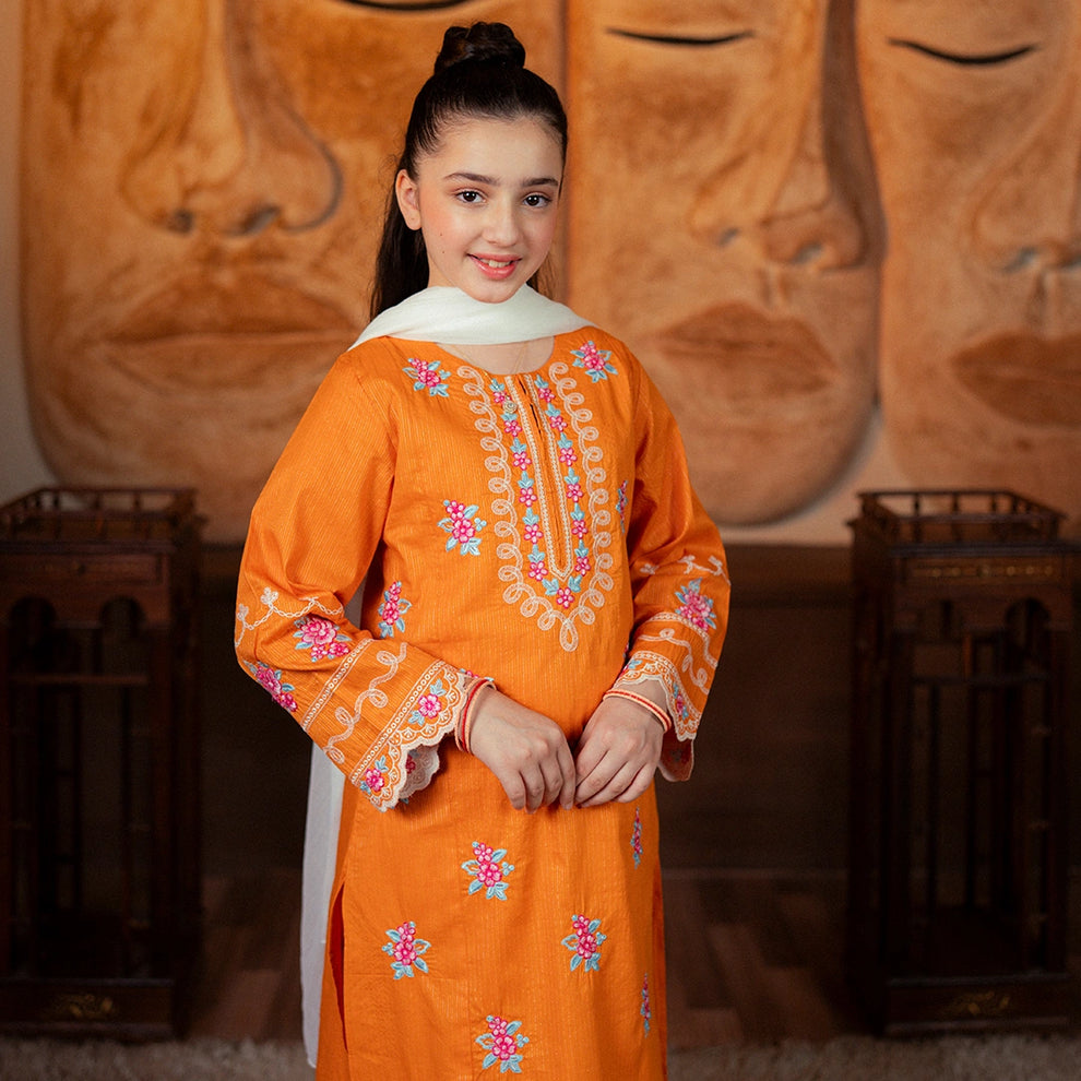 Embroidered Jacquard Suit – Zafran