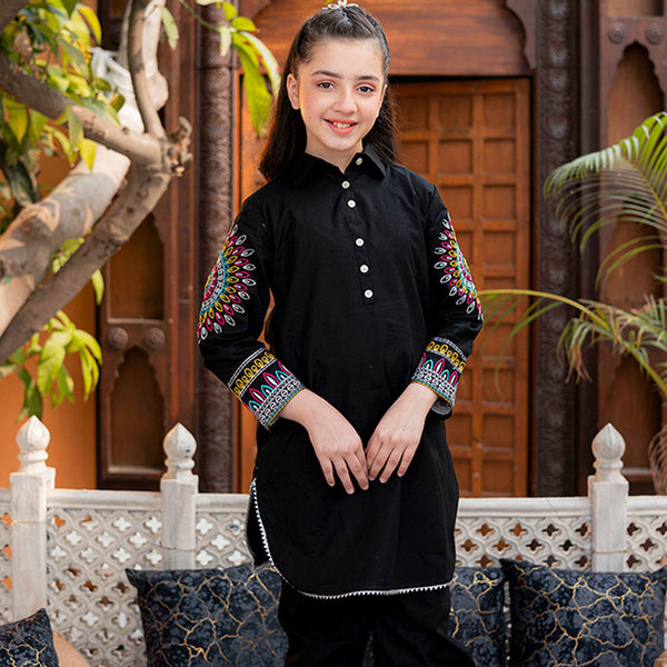 Embroidered Lawn Suit – Aatish