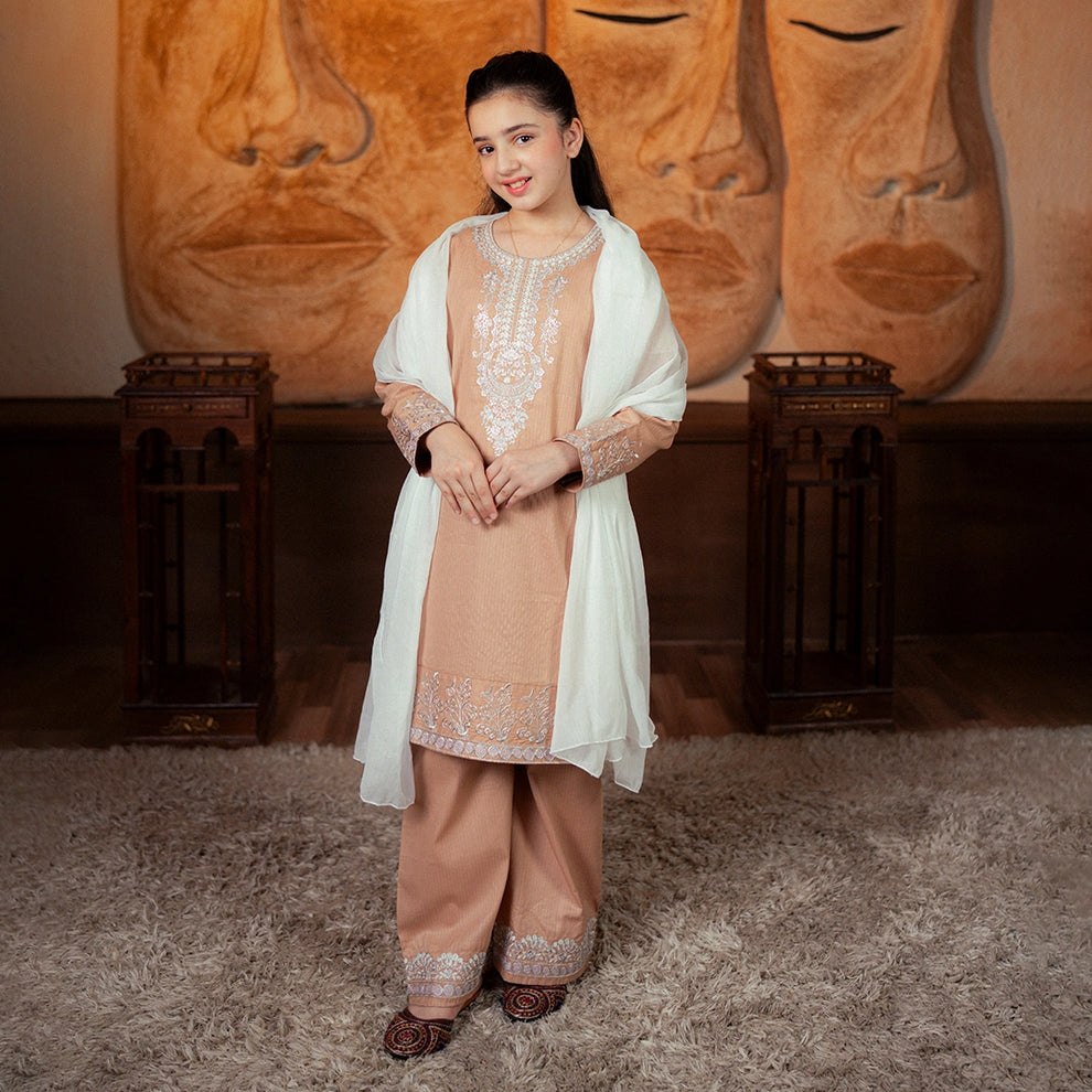 Embroidered Cotton Suit – Noor