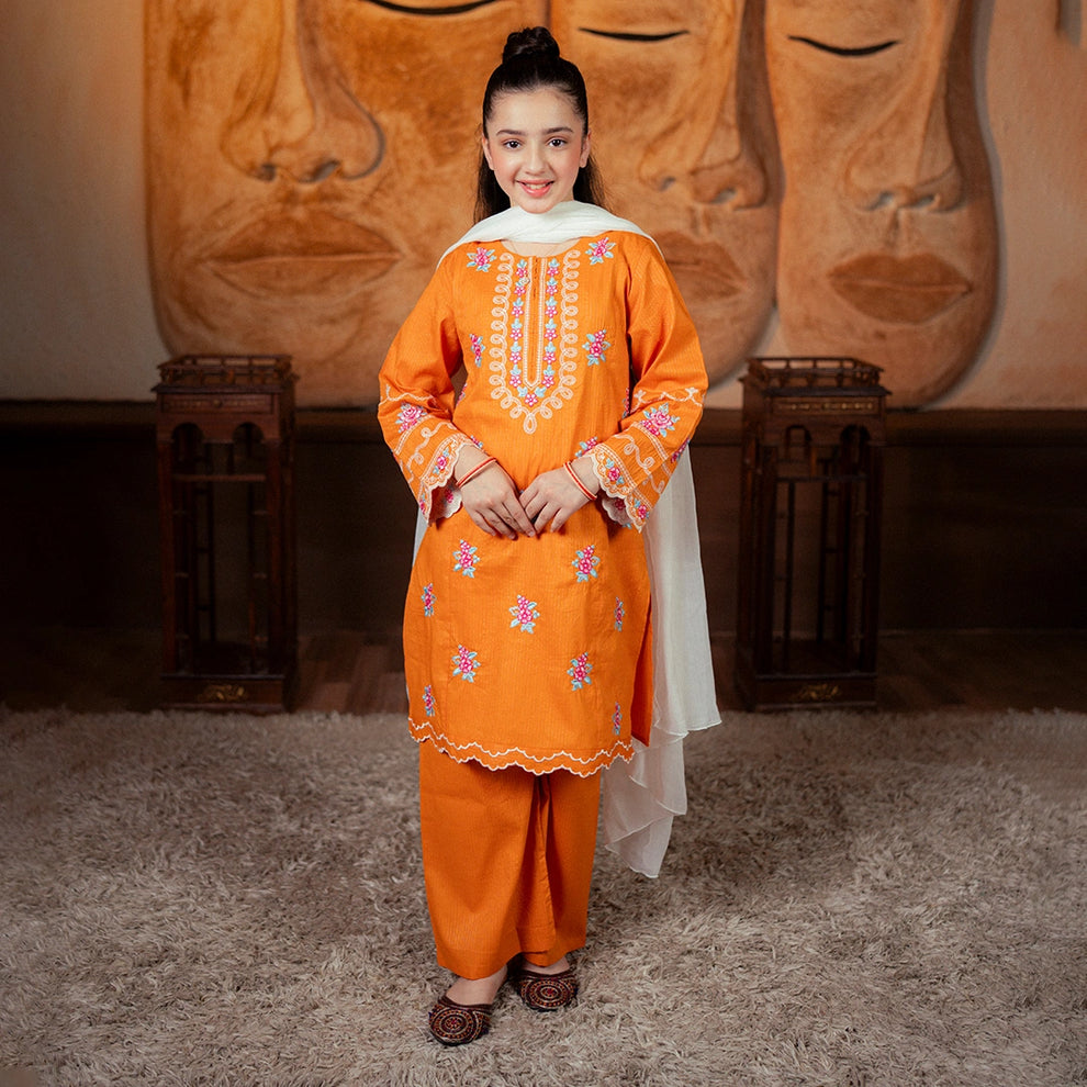 Embroidered Jacquard Suit – Zafran