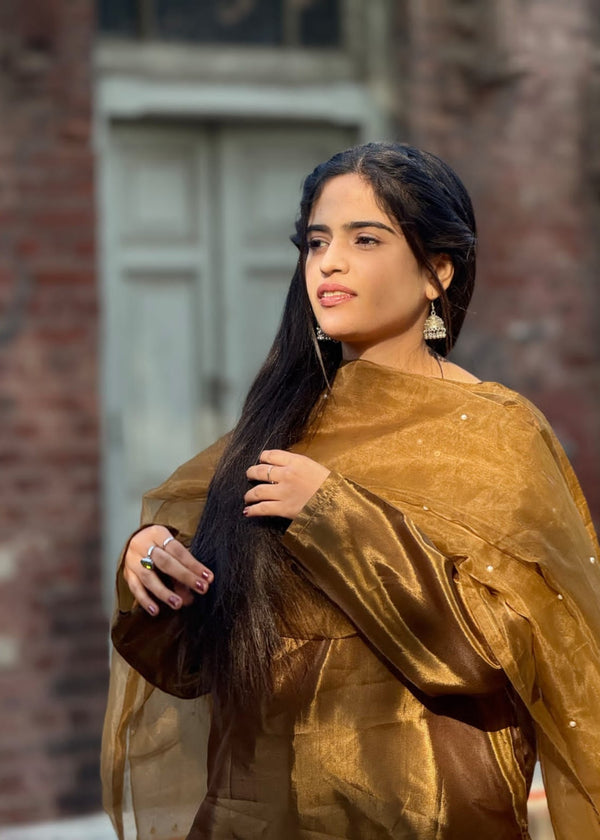 Bano 3-Piece Stitched Suit - Rang-e-Meeras
