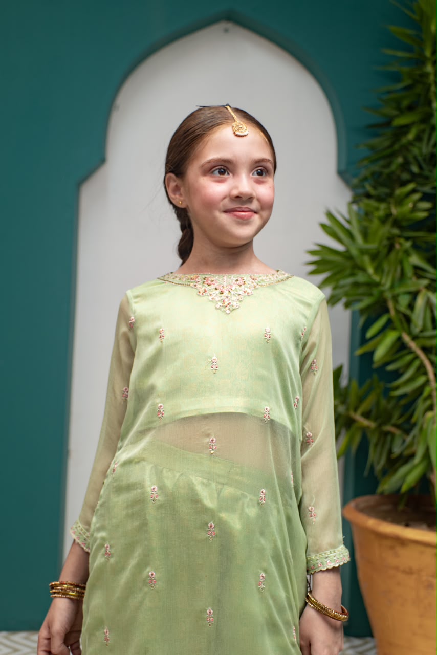 Embroidered chiffon Banarsi atlas lining and plazo 2 Piece Suit - Sania Khan