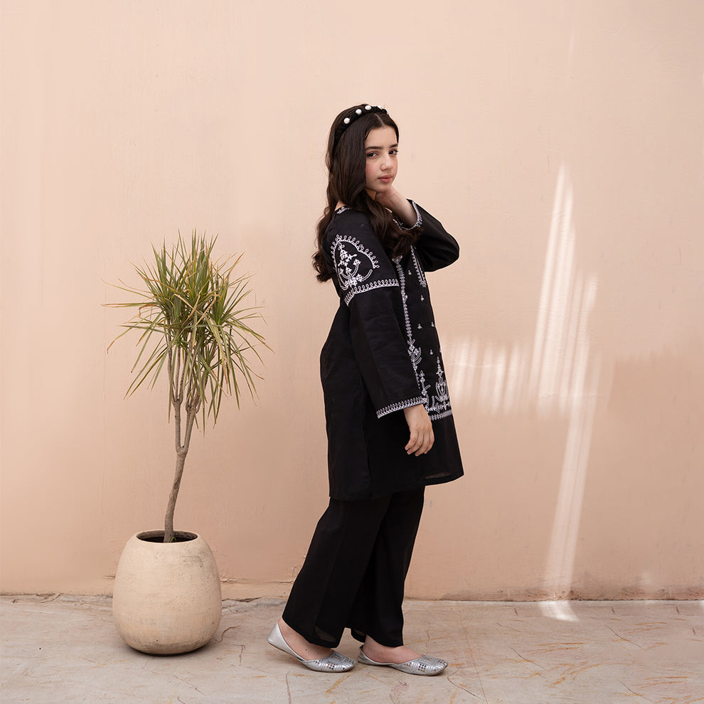 Embroidered Cotton Lawn Suit – Shaam