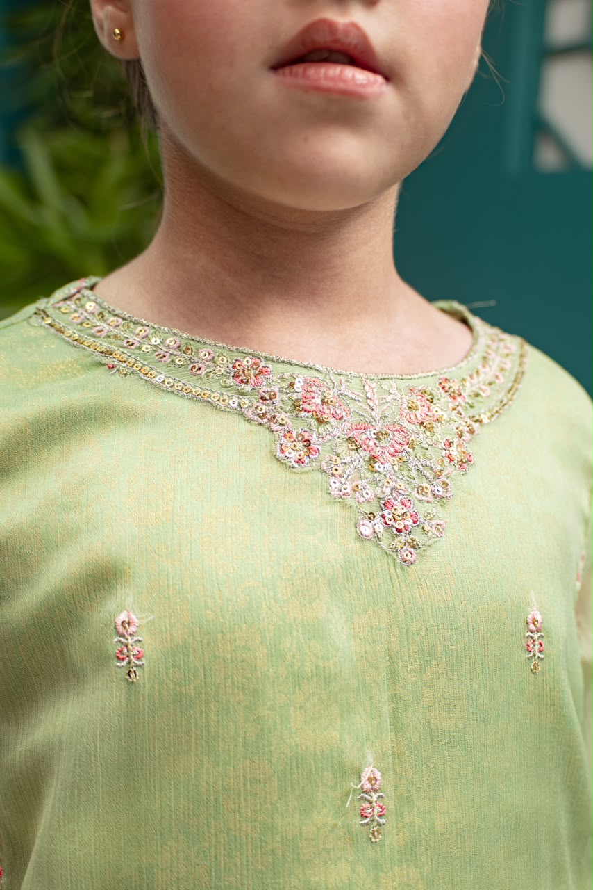 Embroidered chiffon Banarsi atlas lining and plazo 2 Piece Suit - Sania Khan
