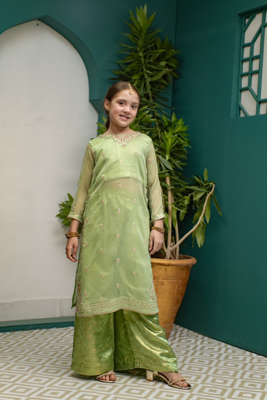 Embroidered chiffon Banarsi atlas lining and plazo 2 Piece Suit - Sania Khan